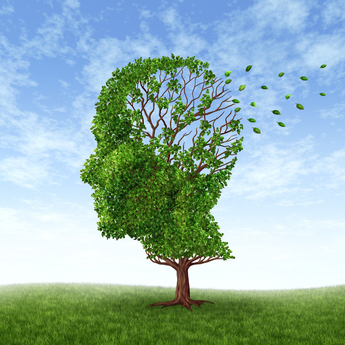 Working Smarter: Systems to Reduce Mental Overload Class - March 25th