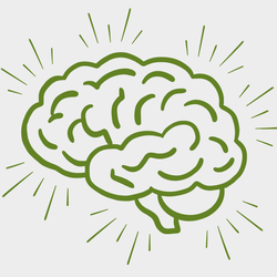 Brain Health, Memory & Energy Class - November 10, 2026