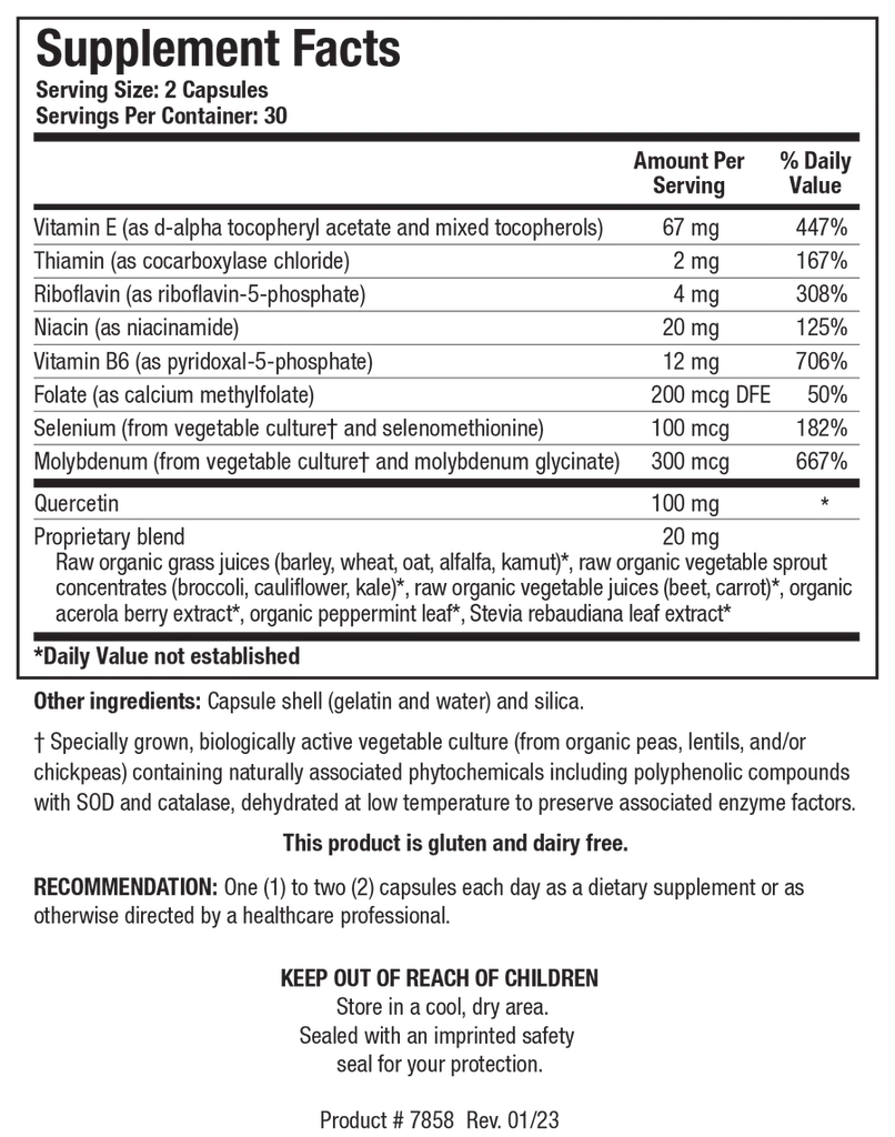 TolerAid Biotics Research 7 oz – Be Well Family Care